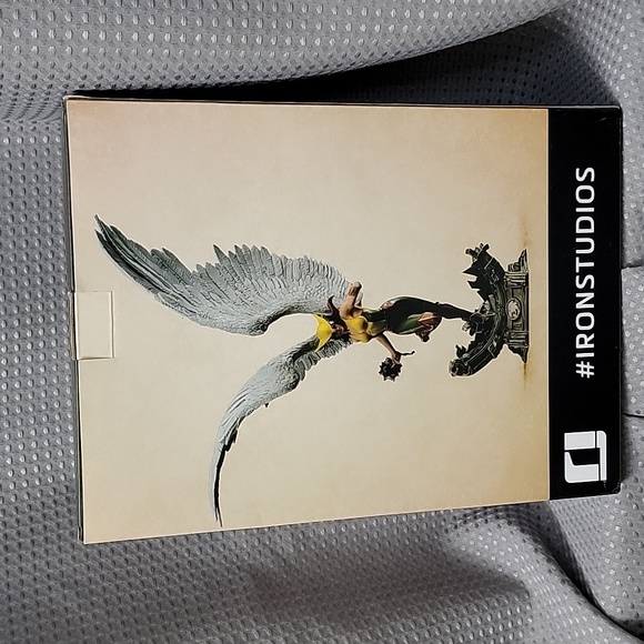 DC Hawk Girl Justice League by Iron Studios 1 / 10 Scale - Picture 4 of 7